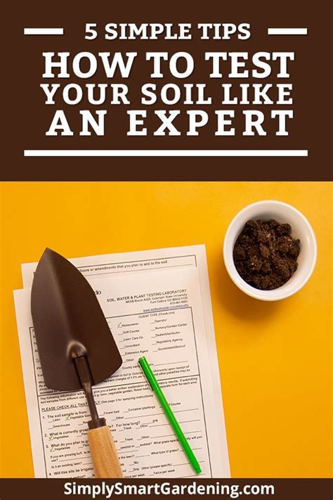 How to Test Soil Like an Expert [+Free Soil Testing Chart] | Garden soil, Soil, Gardening tips