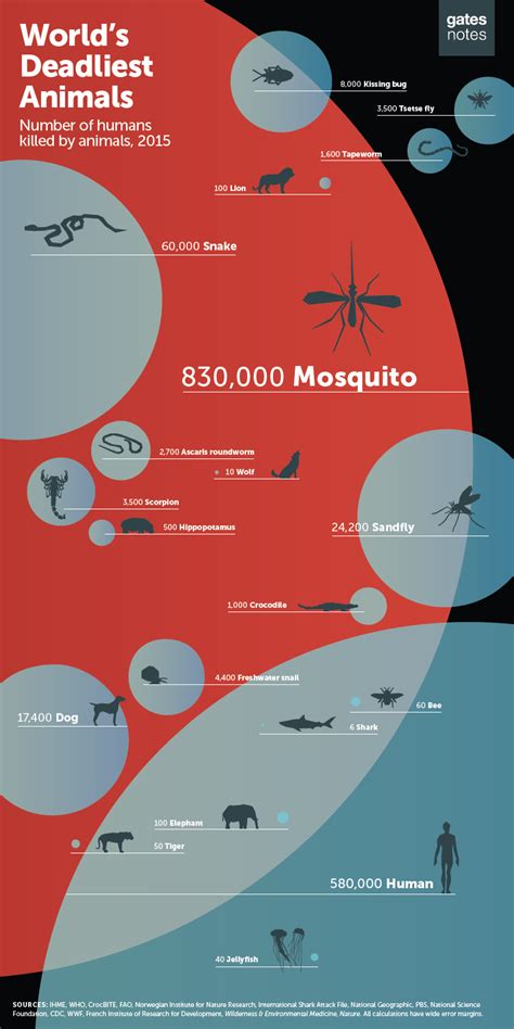 Bill Gates: Mosquitoes are the deadliest animals - Business Insider