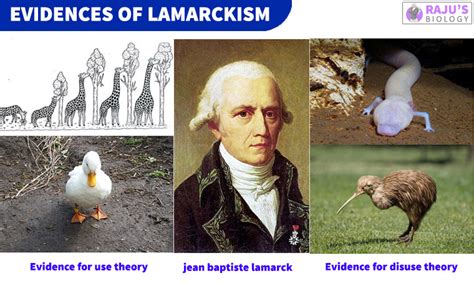 Lamarckism Short Notes | Evolution Class 12 Notes - Rajus Biology