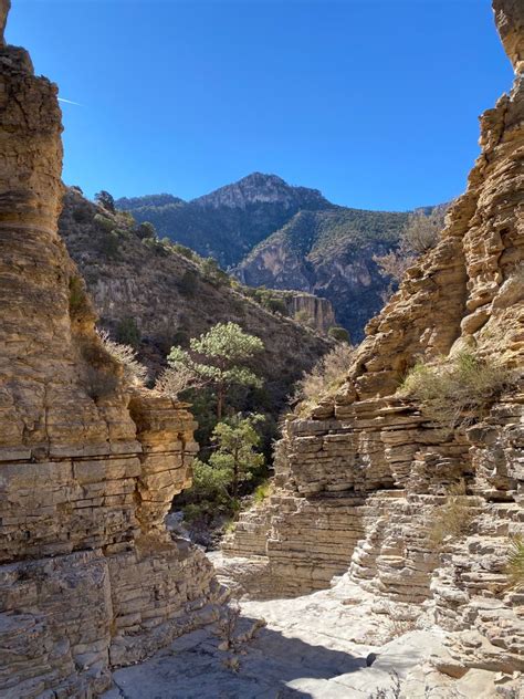 Guadalupe mountains national park – Artofit