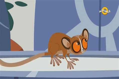 Image - Mouse Lemur.png | Wild Kratts Wiki | FANDOM powered by Wikia