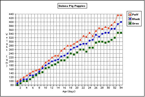 Guinea Pig Growth