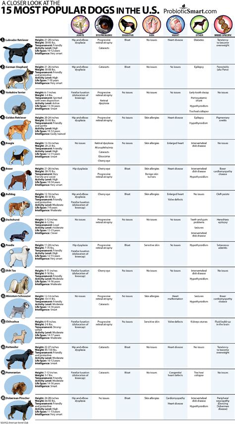 Dog health issues | Popular dog, Most popular dog breeds, Popular dog ...