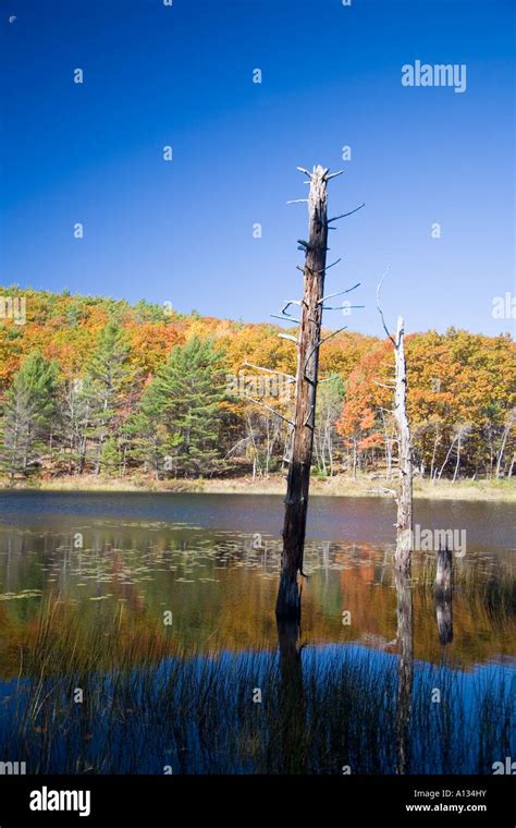 Fall Foliage in Acadia National Park Stock Photo - Alamy