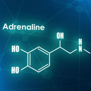 Adrenaline Hormone: What Is It, Effects and Function