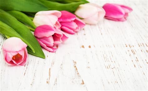 Premium Photo | Bouquet of pink tulips