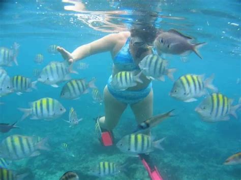 Snorkeling in Dominican Republic: The Best-Hidden Gems - KISKEYA LIFE