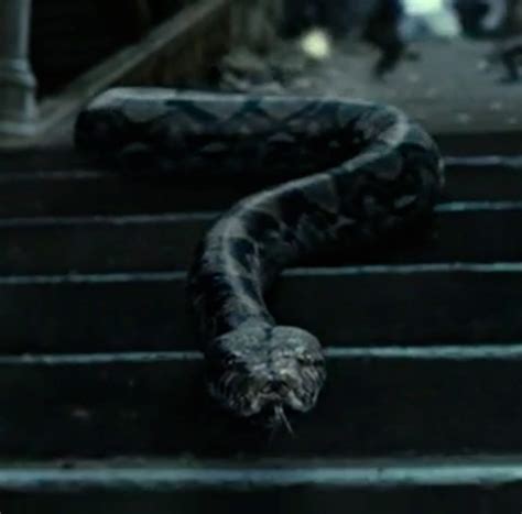 Nagini | Harry Potter Wiki | FANDOM powered by Wikia