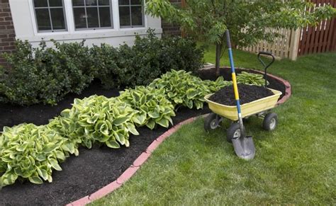 Spring Yard Clean Up: How to Prepare Your Mid-Atlantic Yard for Spring ...