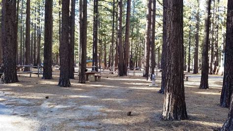 Tahoe Valley Campground in South Lake Tahoe California CA