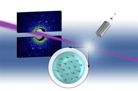 Researchers Map Quantum Vortices Inside Superfluid Helium Nanodroplets - Berkeley Lab – News Center