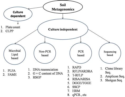 Soil Metagenomics: Concepts and Applications | IntechOpen