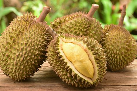 Famous Medan durian outlet to indulge fruit's lovers in Jakarta - Food - The Jakarta Post