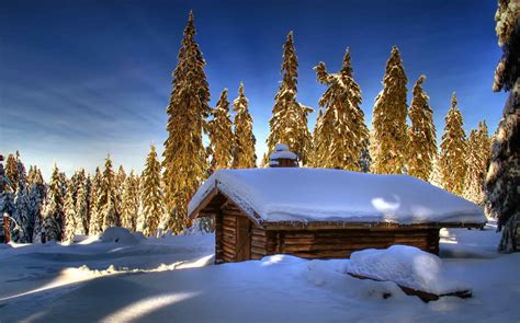 Download Forest Tree Snow Winter Man Made Cabin HD Wallpaper