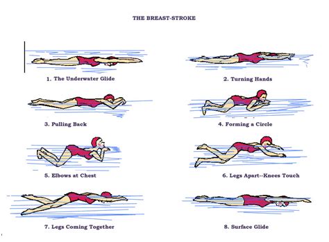 Swim Drill – Breaststroke with Water Drills continued and Cobra Drills ...