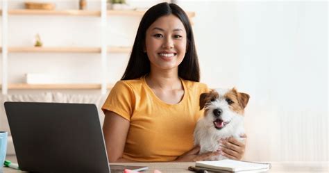 Pet Etiquette In The Workplace - PetlifeAU™