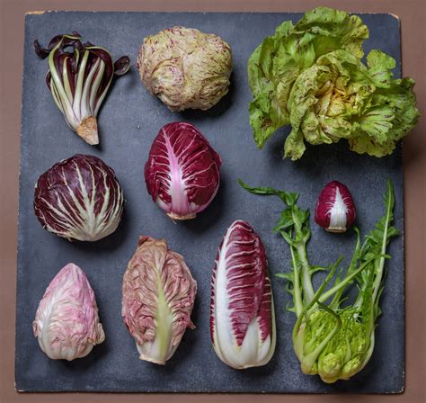 If You’ve Never Tried Growing Radicchio, Now Is the Time - The New York Times