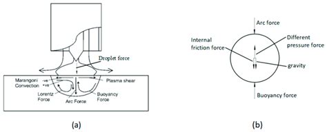 (a) Forces acting on liquid weld metal and (b) forces acting on a ...