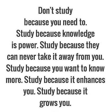 37 Inspirational Quotes To Get You Through College | Study motivation ...