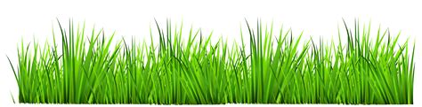 Field clipart grassy area, Field grassy area Transparent FREE for ...