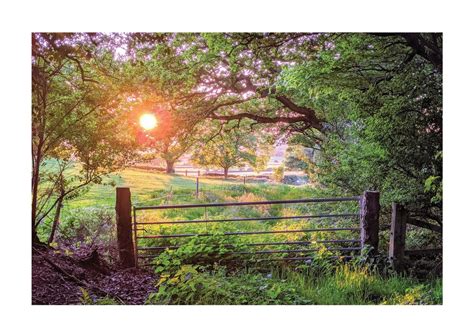 Beautiful Shropshire scenes and wildlife feature in calendar made up by ...