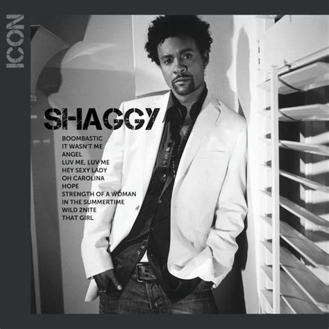 Shaggy - Icon Lyrics and Tracklist | Genius