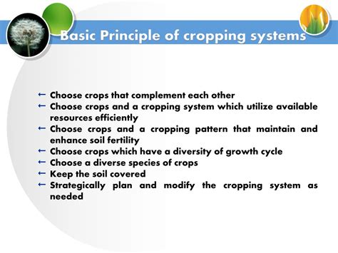 PPT - Cropping systems, Cropping patterns ABT-320 PowerPoint Presentation - ID:9183676