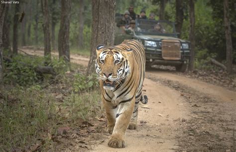 Wildlife Tour | @naturesafarm8cl | Flipboard