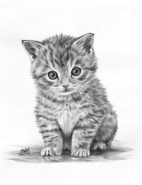 Cute Kitten Sketch at PaintingValley.com | Explore collection of Cute Kitten Sketch