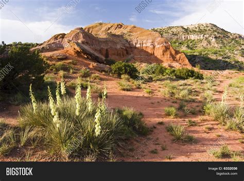 Palo Duro Canyon Image & Photo (Free Trial) | Bigstock