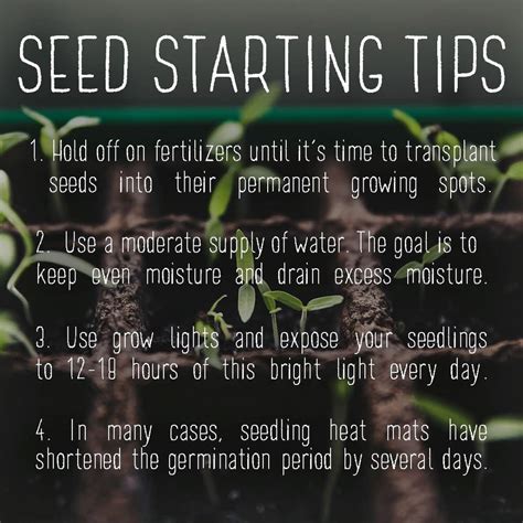 What are some tips and tricks that have helped you with growing? Add your seed starting tips ...