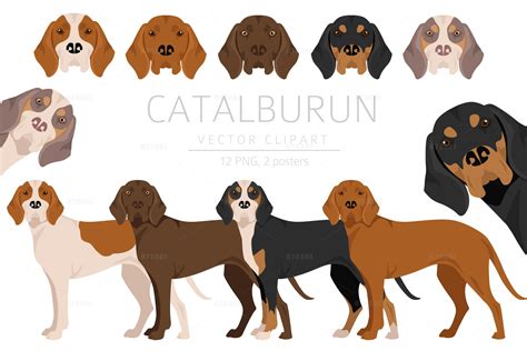 Catalburun Puppies