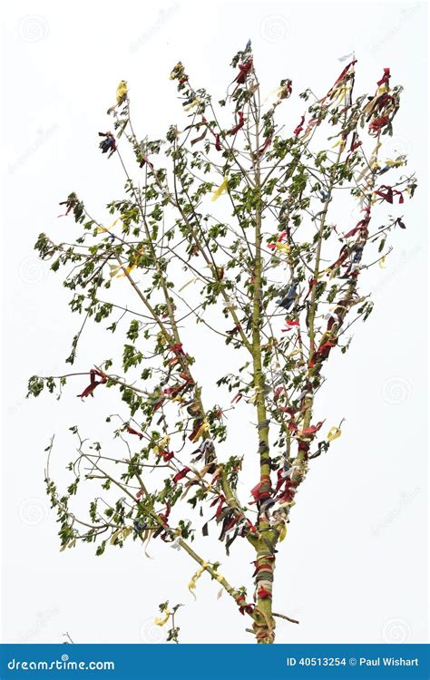 Top of Maypole stock photo. Image of celebrate, tree - 40513254