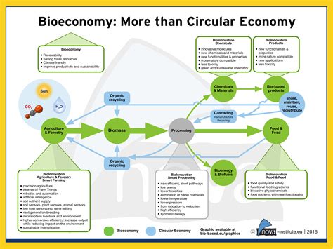 European BioeconomyNews of a Green FutureBioeconomy Vision