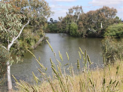 Werribee River, Attraction, Melbourne, Victoria, Australia