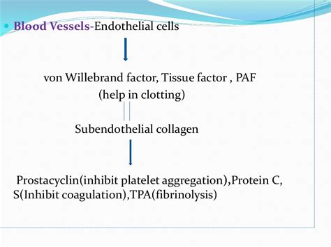 Coagulation profile