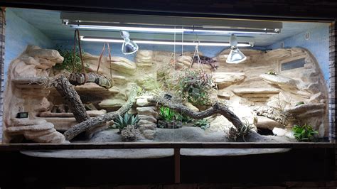 My bearded dragon's enclosure : r/HerpHomes