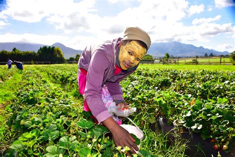 Regenerative Farming in South Africa - The Borgen Project