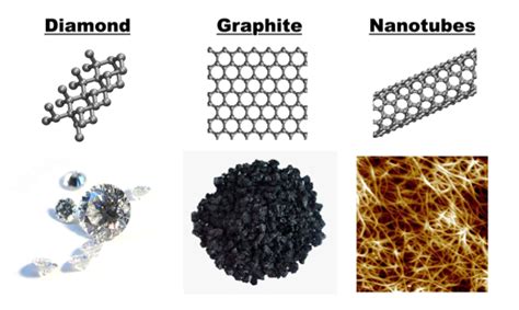 Adhesion of Carbon Nanotube