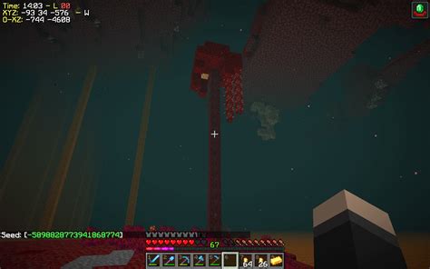 that's an high Tree In the nether (naturally generated) : r/Minecraft