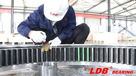 Slewing Bearing Installation & Storage | LDB