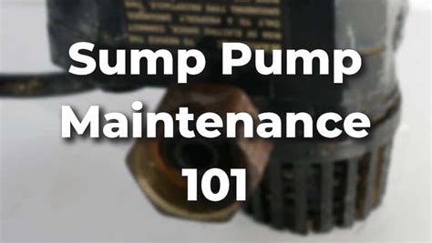 Sump Pump Maintenance 101: All You Need to Know [With Video] - DailyHomeSafety