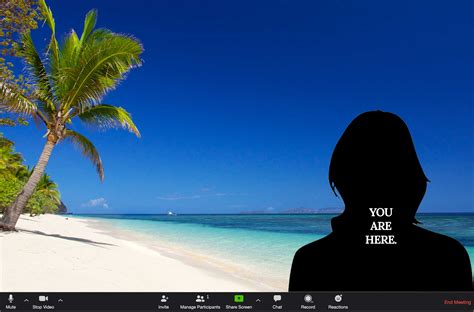 Let's pretend - Zoom Virtual Backgrounds - Vomo Island Fiji