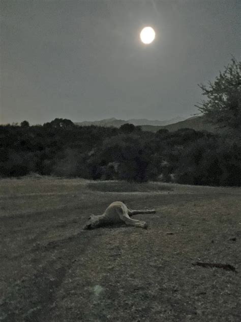 URBATORIVM: LA SUPERLUNA VISTA DESDE EL PANUL, SANTIAGO (13-14 NOVIEMBRE DE 2016)