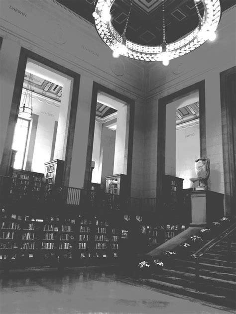 Indianapolis public library | Amazing stories, Public library, Library