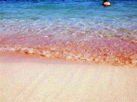 Pink Beach in Indonesia ~ indonesian tourism