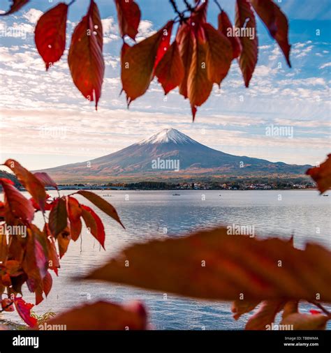 Mount Fuji and Lake Kawaguchiko in Autumn Leaves Stock Photo - Alamy