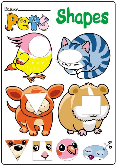 Pet Worksheets and Activities for Kindergarten | TeachersMag.com ...