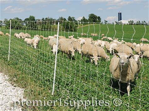 Select The Best Electric Fence Design For Your Sheep - Premier1Supplies