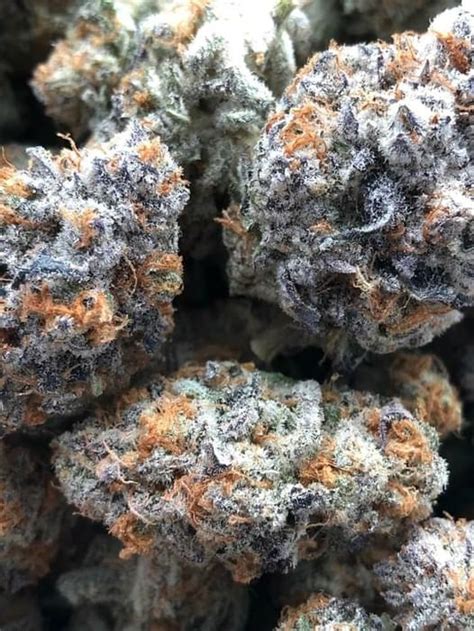 $80 $100 7g Purple Runtz | Capital Kush DC Marijuana Flower Deals